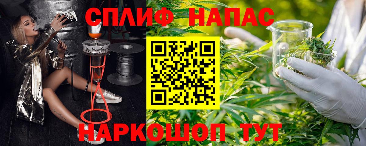 Шишки марихуана семена  Каннабис White Widow  Вход с VPN  МАРИХУАНА ГИДРОПОН  Кувандык 